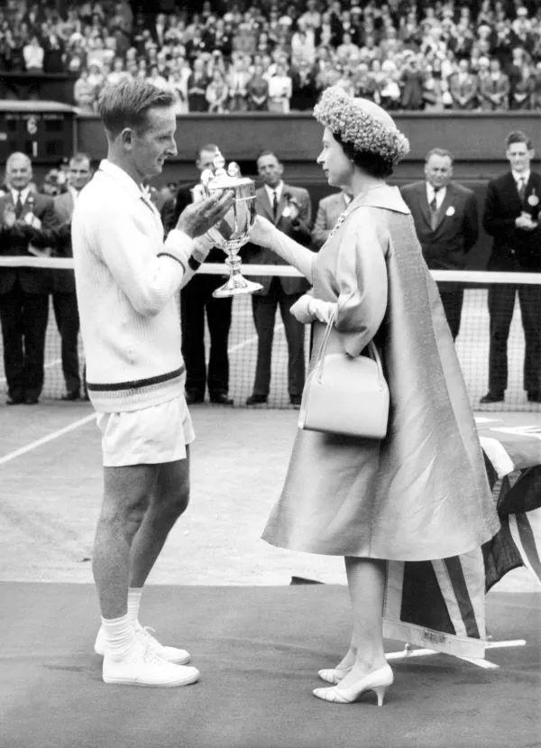 这些要素无 这些要素无