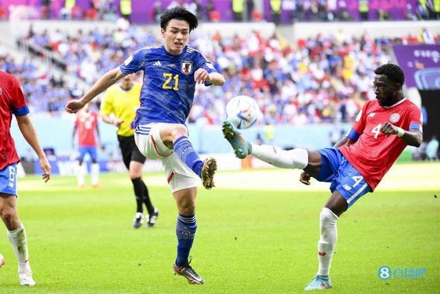 直接用于网 直接用于网